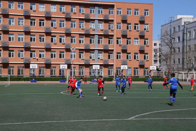 意甲-普利希奇特奥破门 AC米兰3-1维罗纳